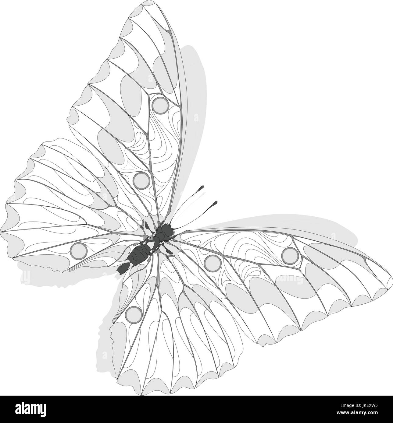 Hand drawn butterfly zentangle style for coloring book shirt design or tattoo stock vector image art