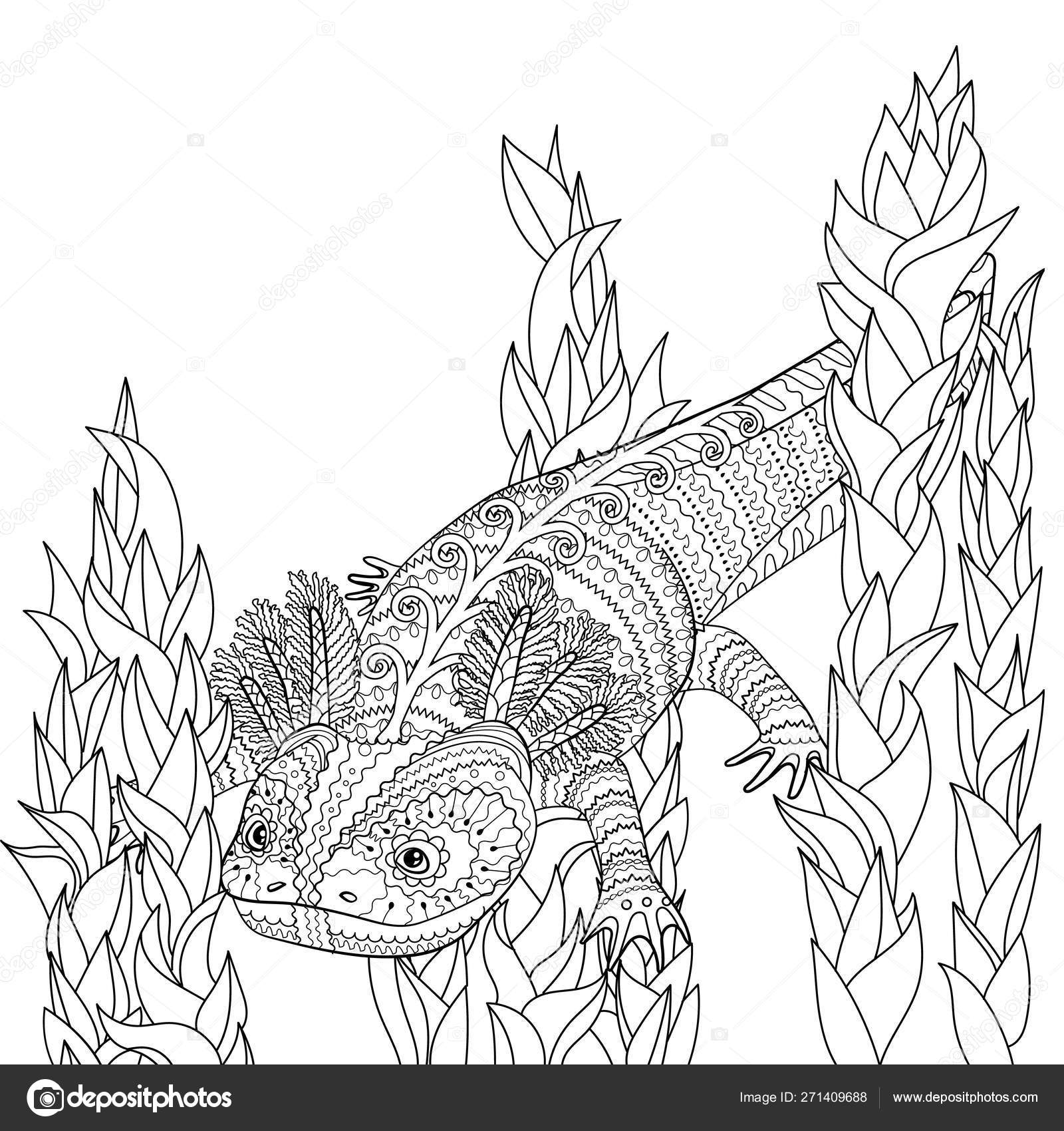 Coloring page with axolotl in patterned style stock vector by lezhepyoka