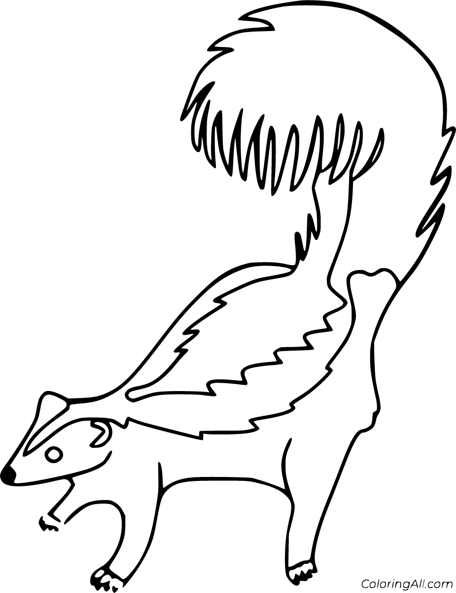 Skunk coloring pages