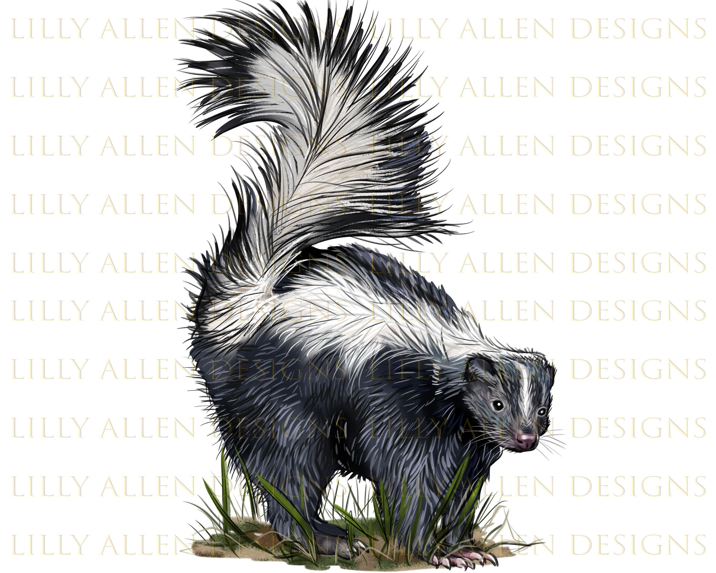 Skunk illustrations png digital download skunk sublimation png printable skunk png image for wall art decoration design instant download download now