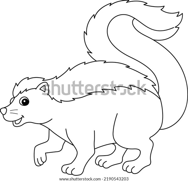 Skunk drawing images stock photos d objects vectors