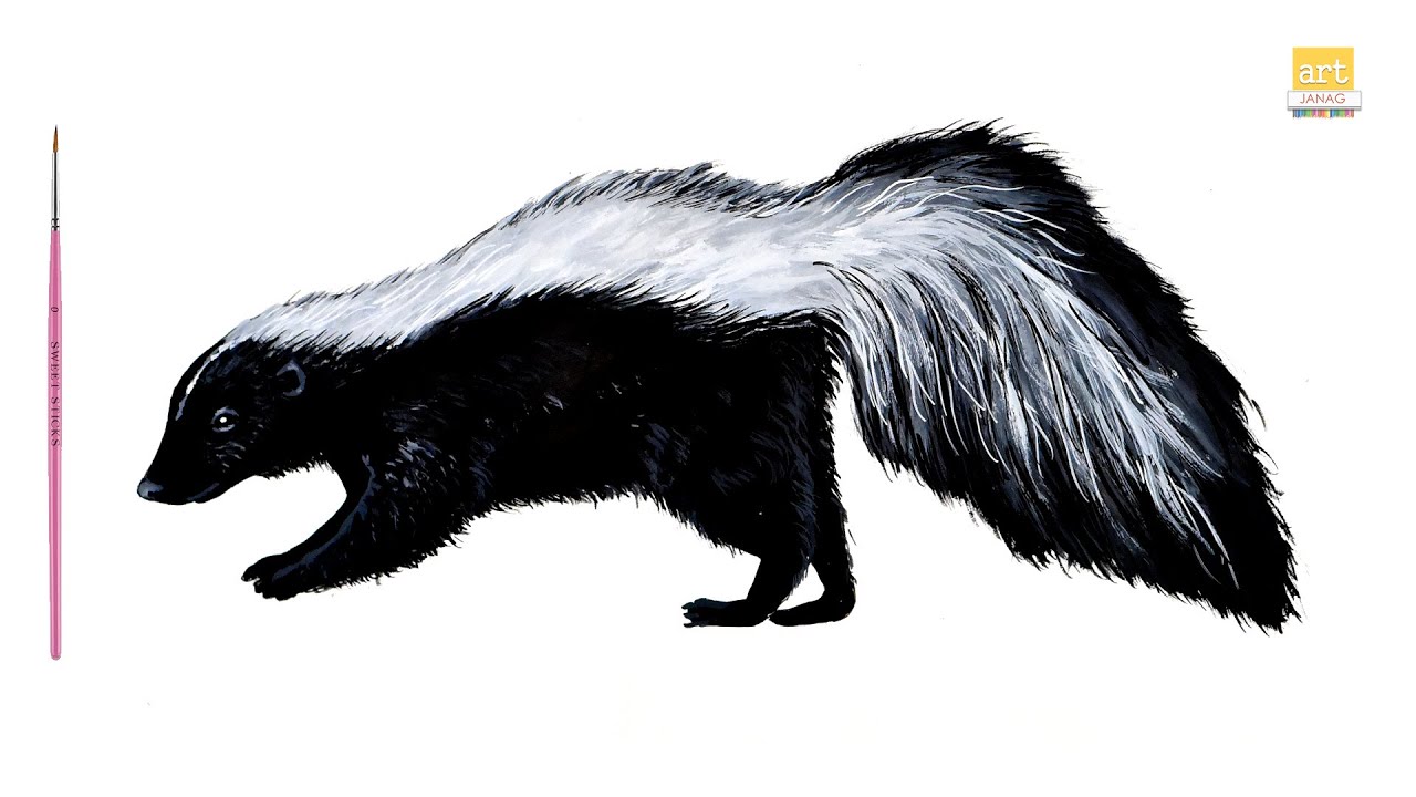 Skunk drawing easy ii how to draw a skunk drawing step by step ii artjanag