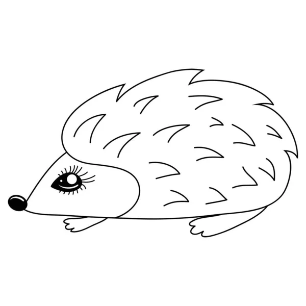 Skunk drawing stock photos royalty free skunk drawing images