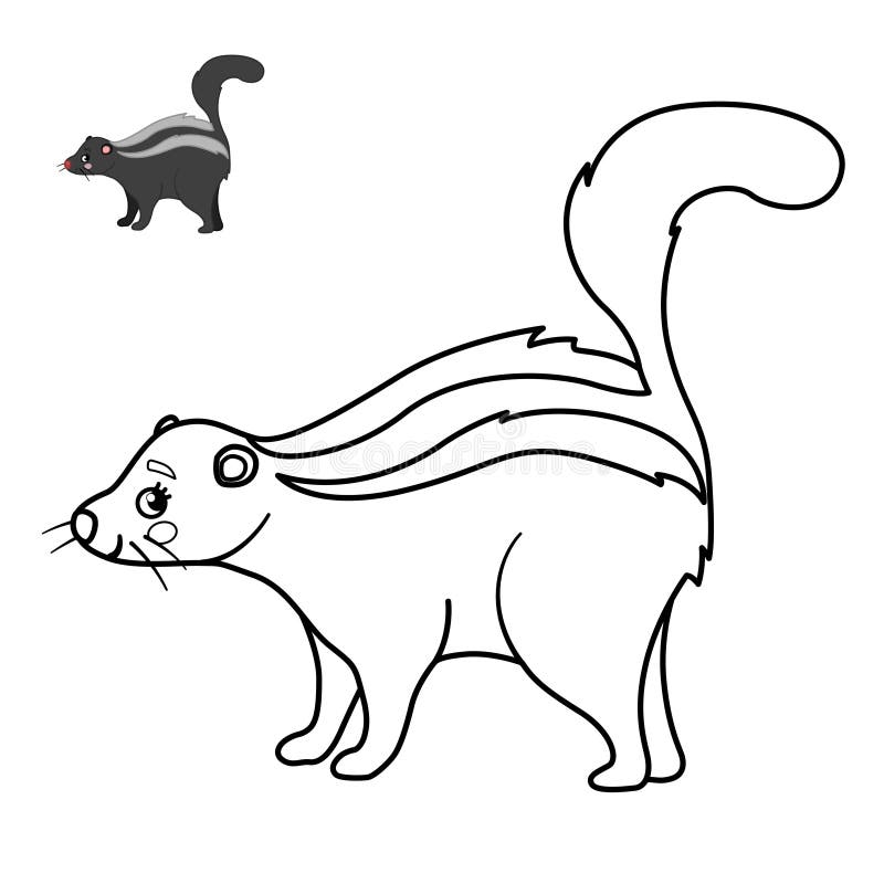 Skunk cartoon outline stock illustrations â skunk cartoon outline stock illustrations vectors clipart