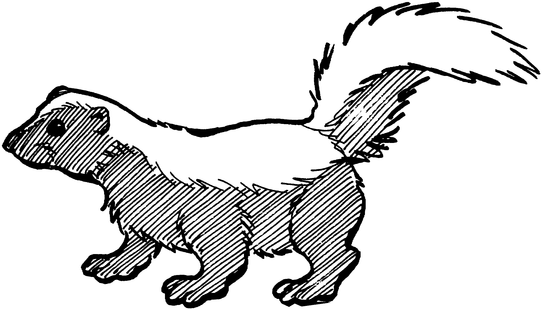 Free skunk coloring pages