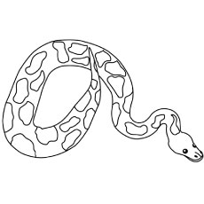 Top free printable snake coloring pages online