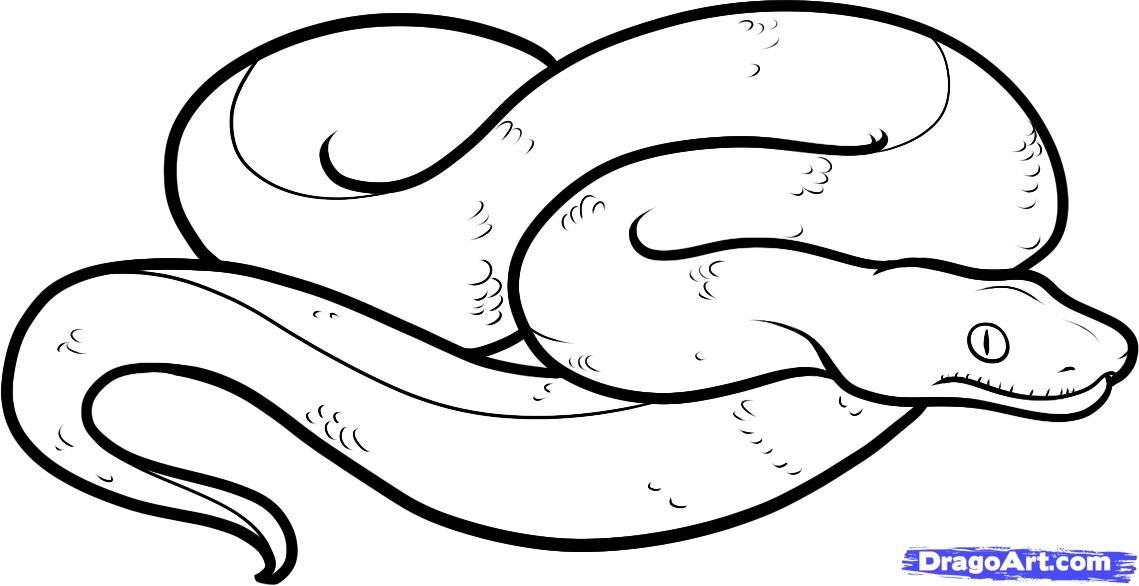 Boa constrictor coloring page