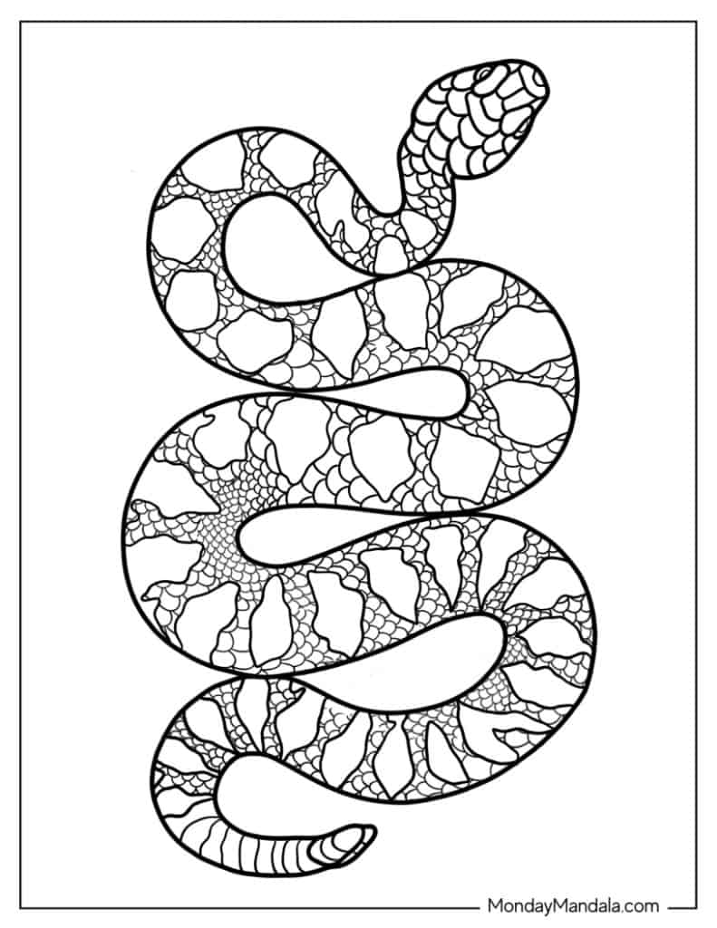 Snake coloring pages free pdf printables