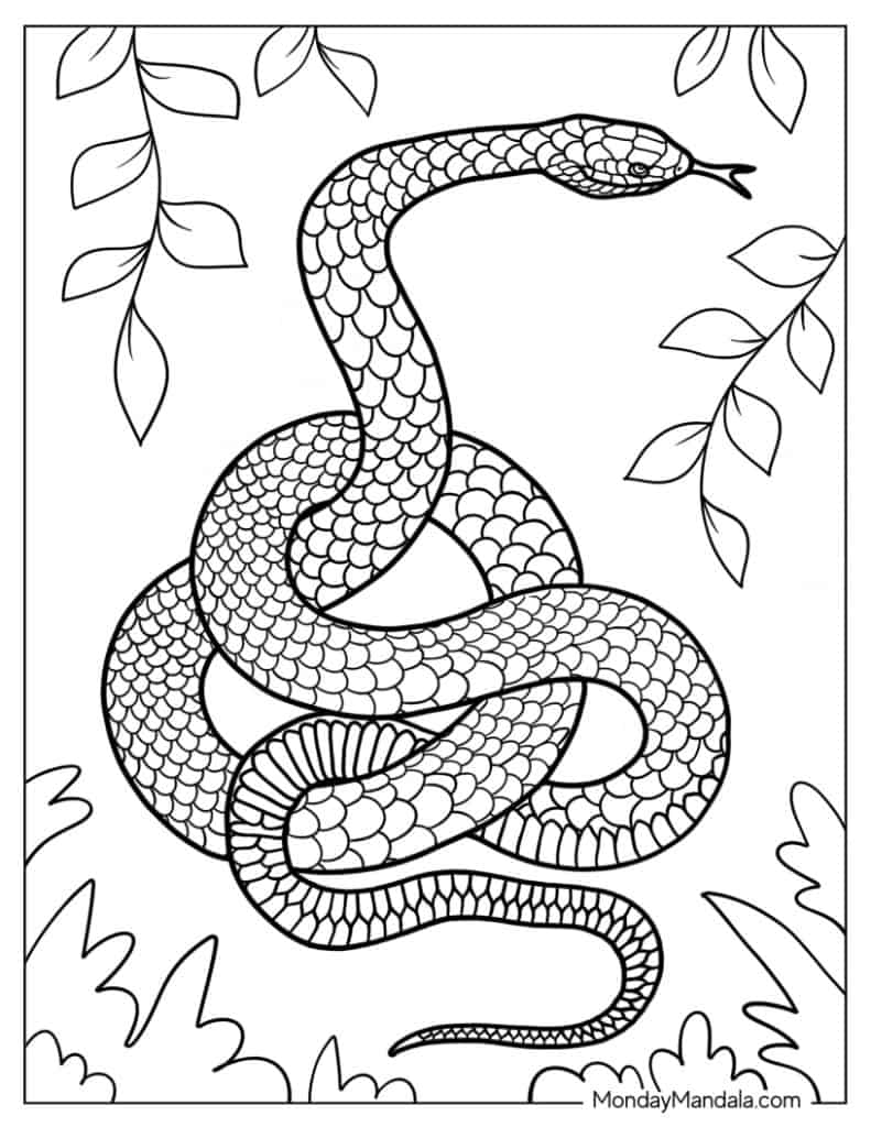 Snake coloring pages free pdf printables