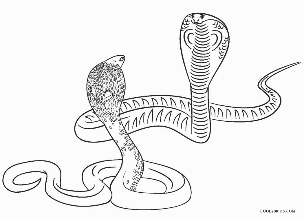 Free printable snake coloring pages for kids