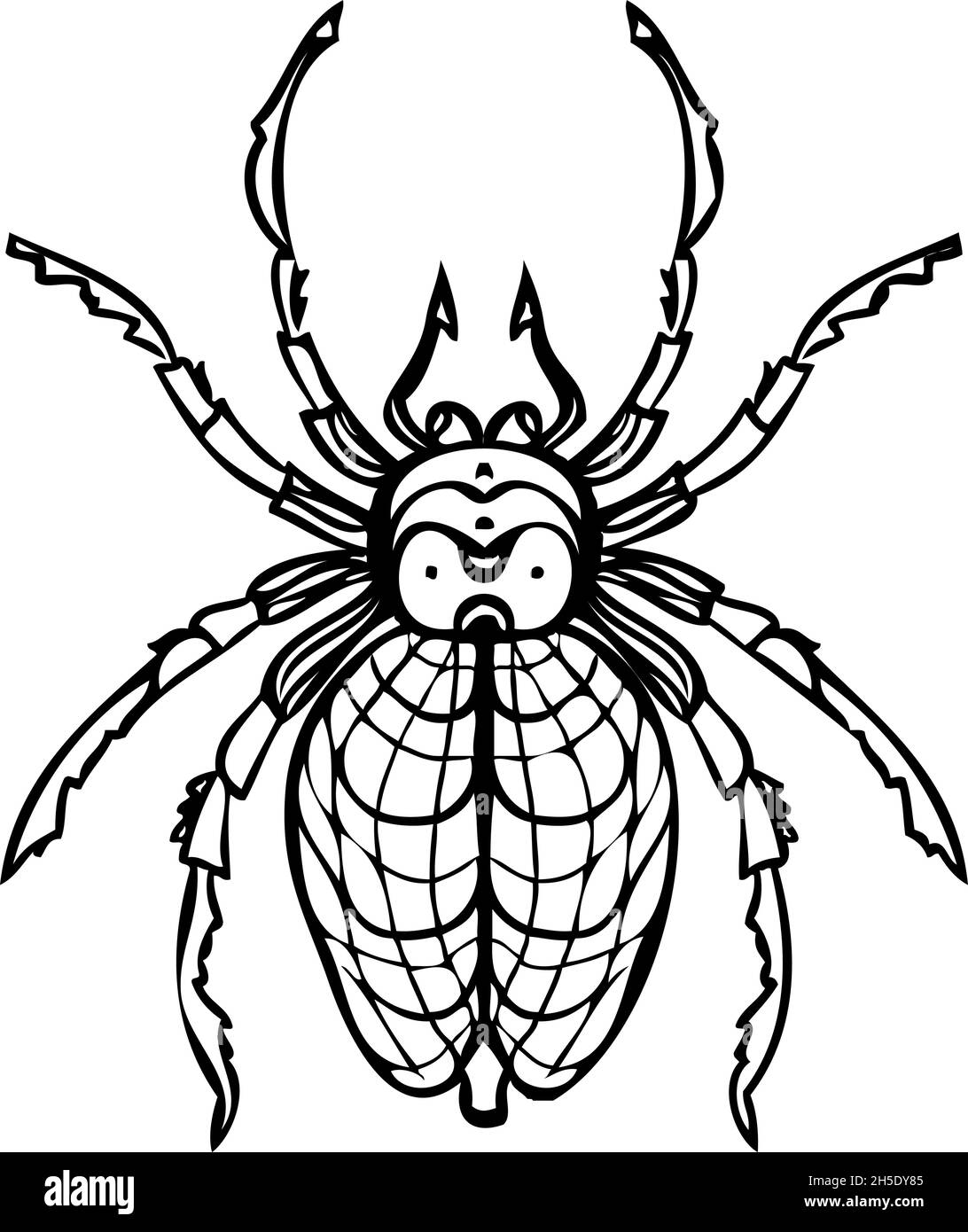 Spider drawing black and white stock photos images