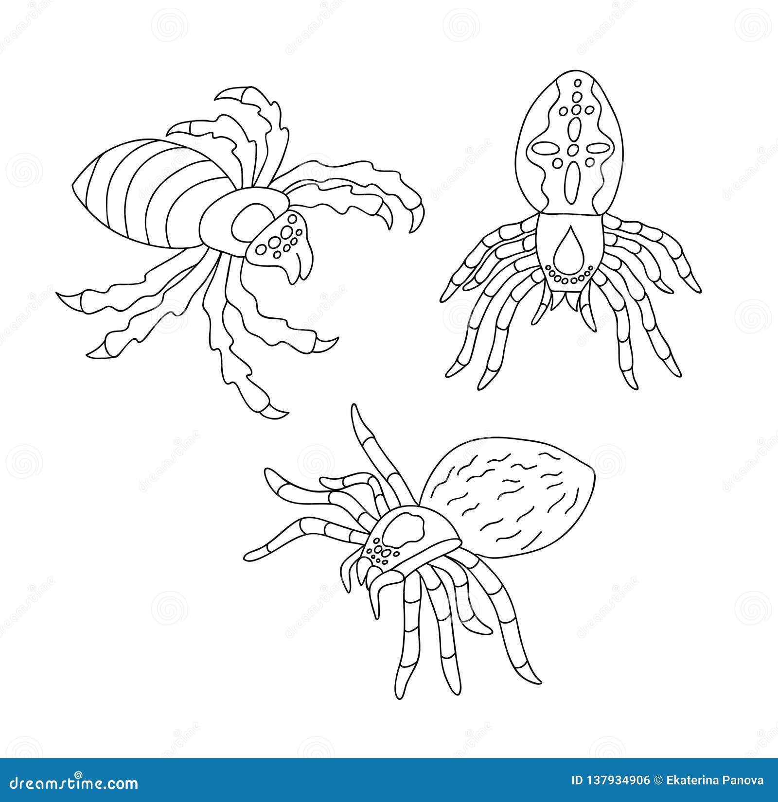 Set of black and white spiders for coloring stock vector