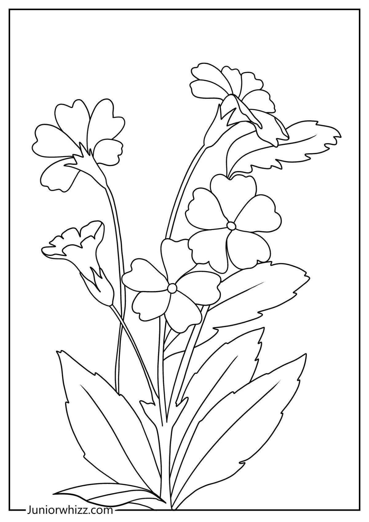 Spring flowers coloring pages printable pdfs