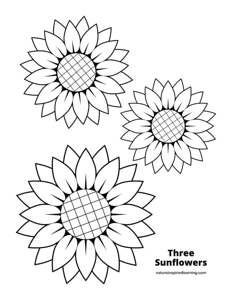 Sunflower coloring pages for kids