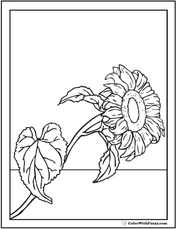 Sunflower coloring page pdf printables