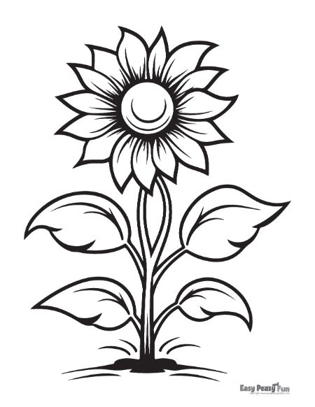 Printable sunflower coloring pages â sheets