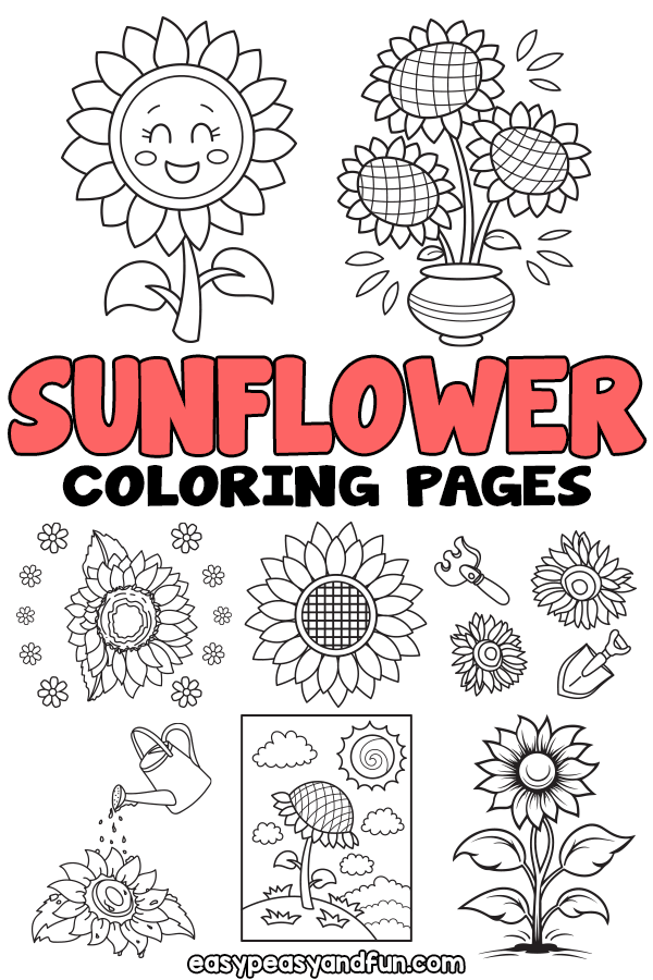 Printable sunflower coloring pages â sheets