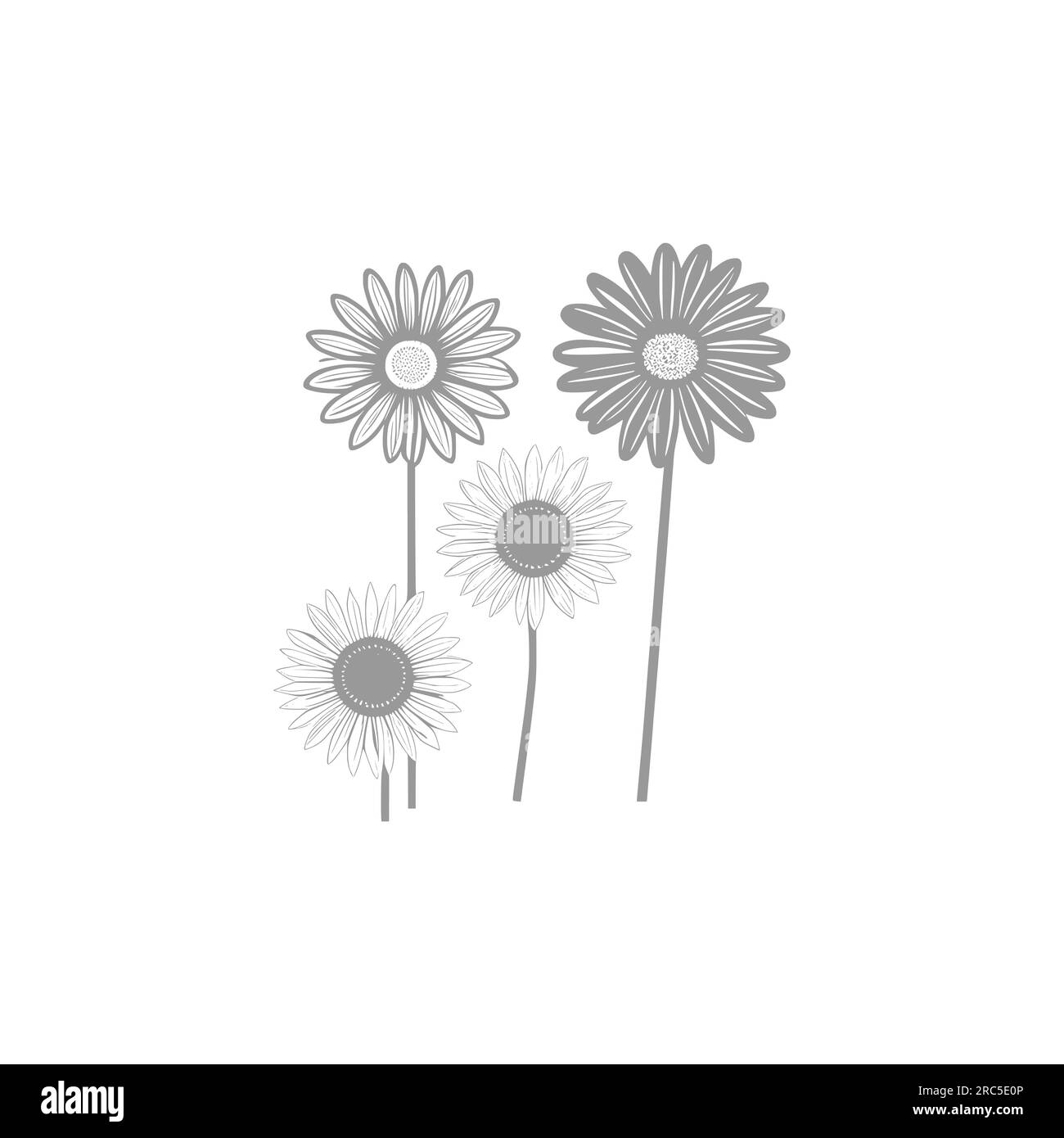 Wonderful flower vector illustration coloring book page for adultsunflower coloring line art stock vector image art