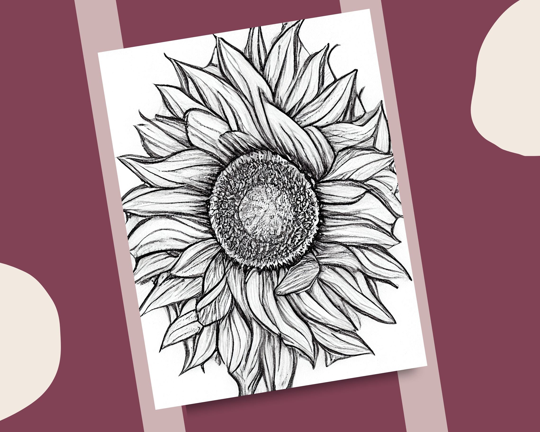 Sunflowers coloring pages realistic sunflower illustrations printable coloring book