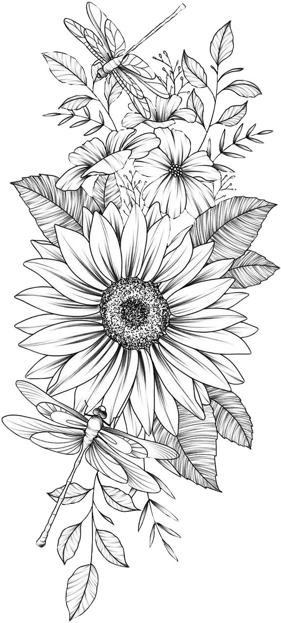 Sunflower sunflower coloring pages flower coloring pages flower drawing