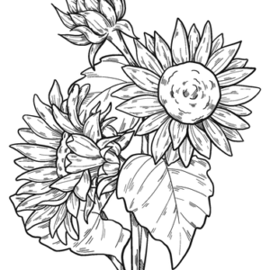 Sunflower coloring pages printable for free download