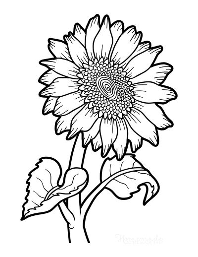 Free flower coloring pages for kids adults sunflower coloring pages flower coloring pages printable flower coloring pages