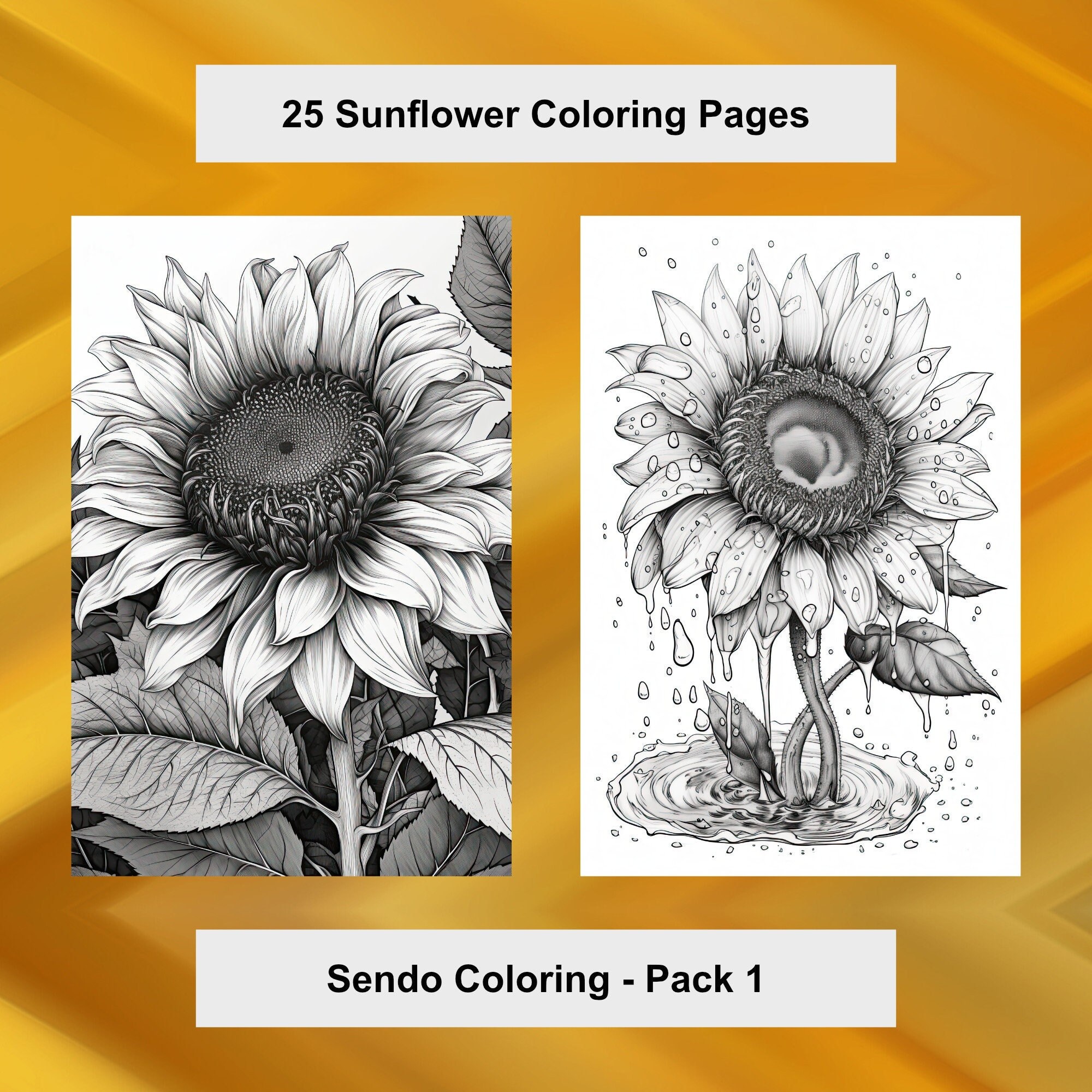 Sunflower coloring