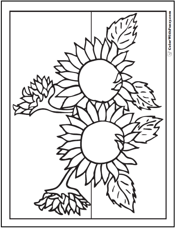 Sunflower coloring page pdf printables