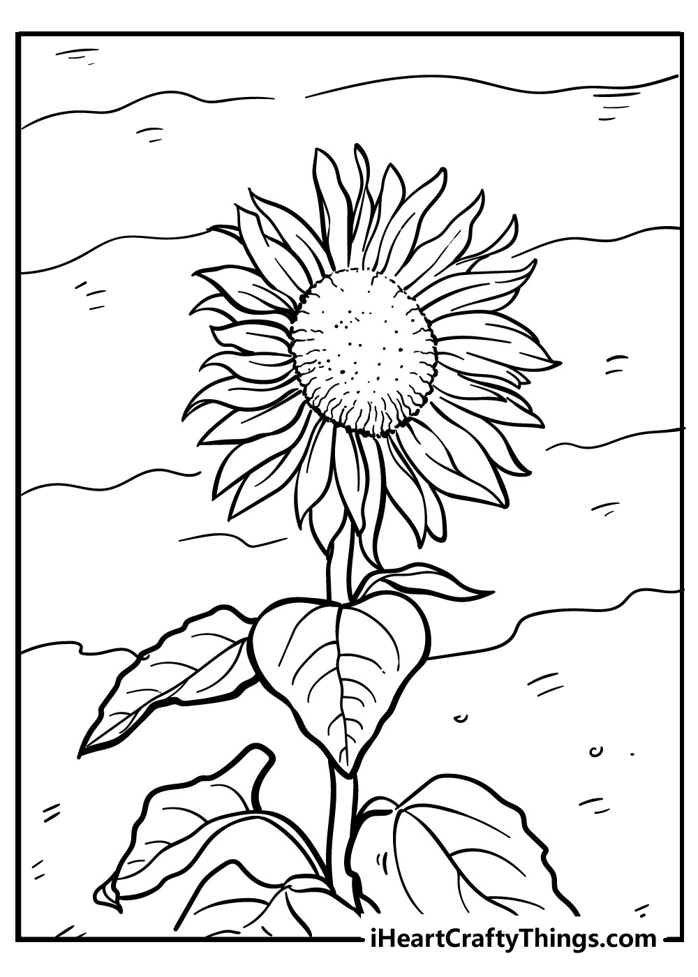 Sunflower coloring pages free printables