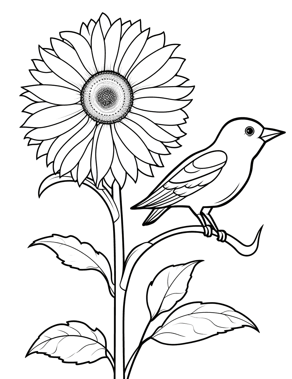 Sunflower coloring pages free printable sheets