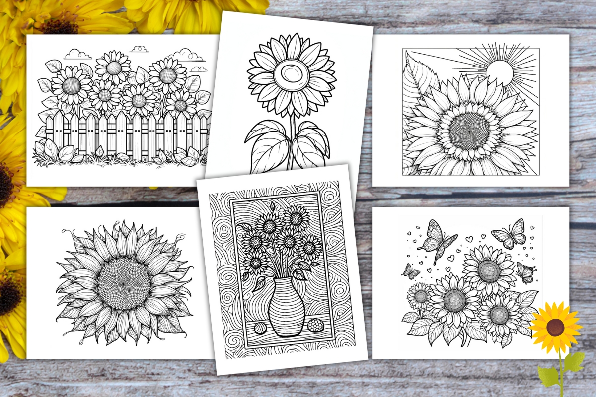 Free printable sunflower coloring pages