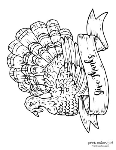 Terrific thanksgiving turkey coloring pages for some free printable holiday fun at