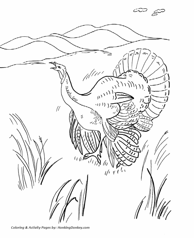 Thanksgiving coloring pages