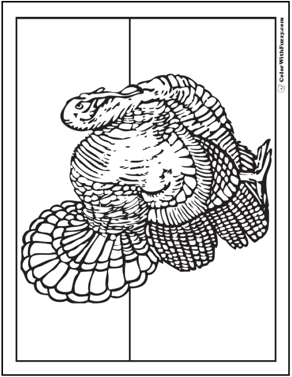 Turkey coloring pages digital interactive thanksgiving printables