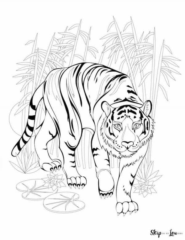 Tiger coloring pages skip to my lou