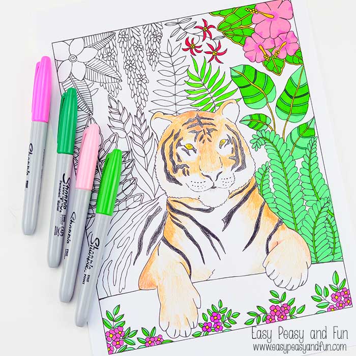 Tiger coloring page for grown ups