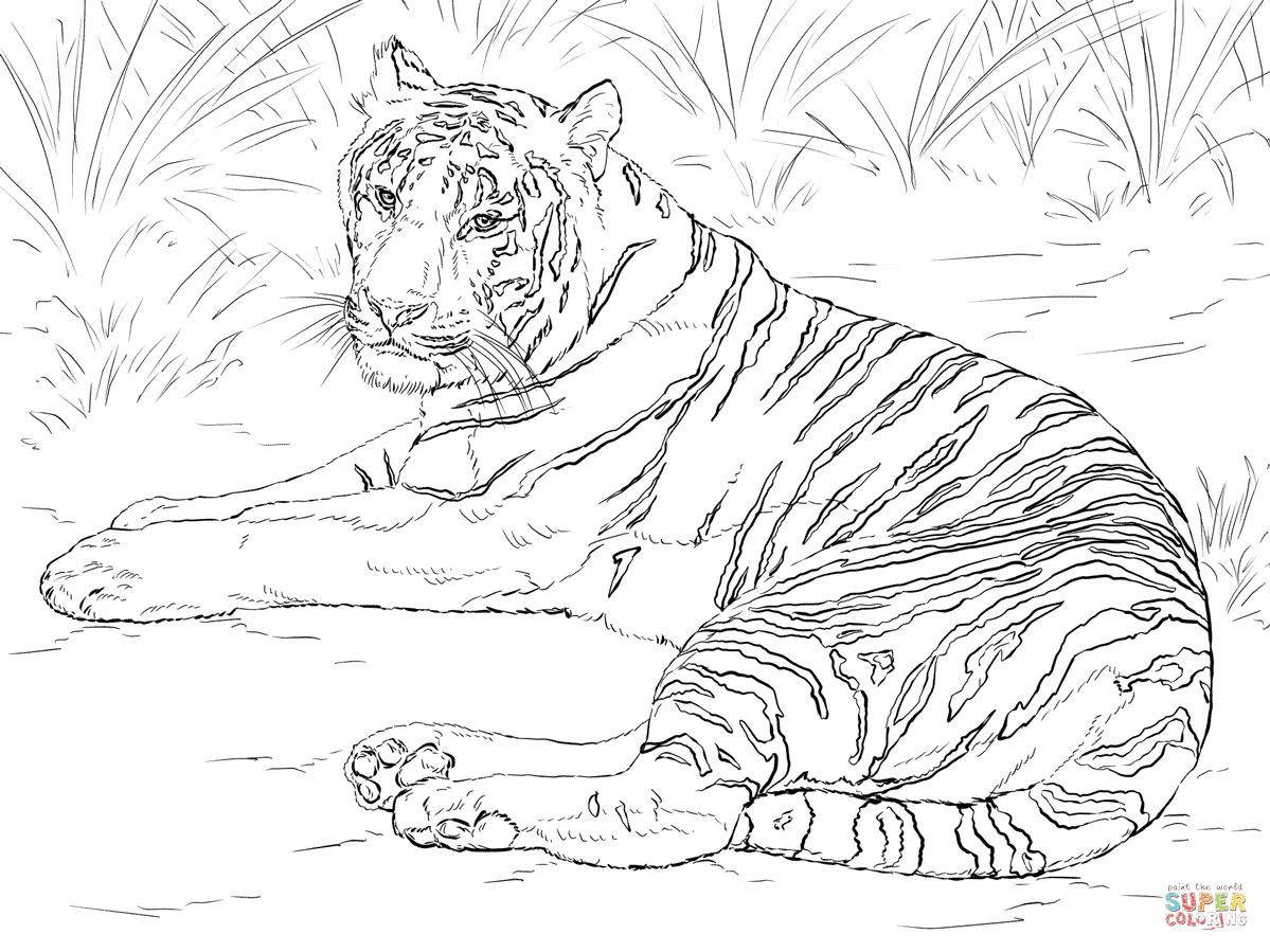 Siberian tiger laying down coloring page free printable coloring pages