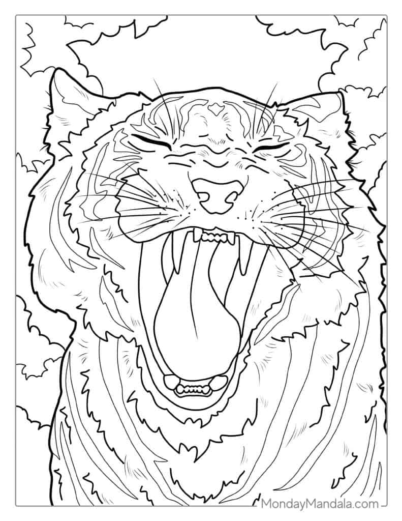 Tiger coloring pages free pdf printables
