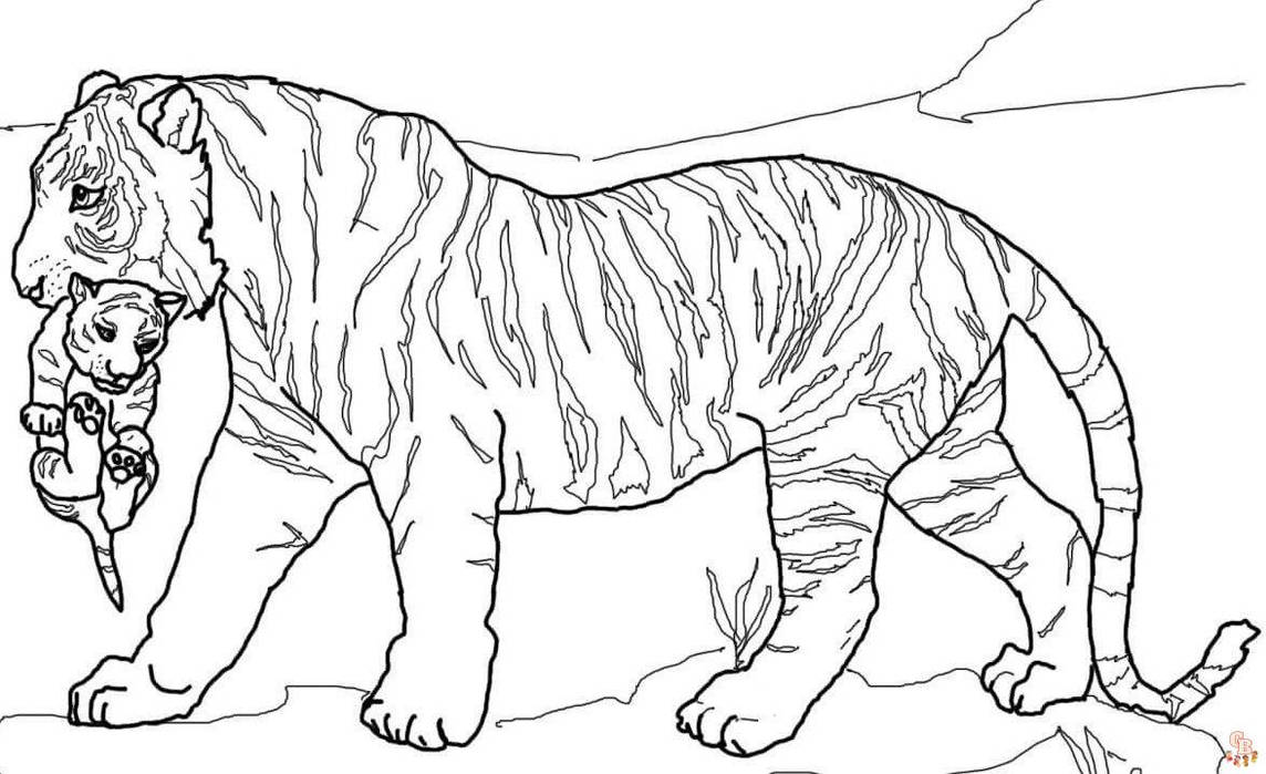 Tiger coloring pages printable free and easy to by gbcoloring on