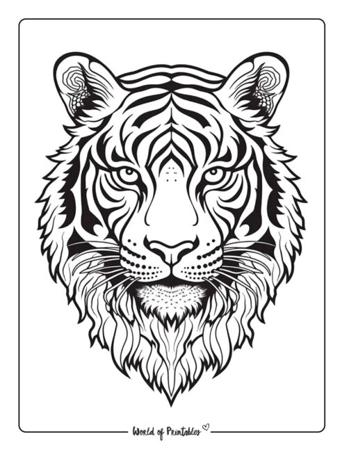 Tiger coloring pages for kids adults