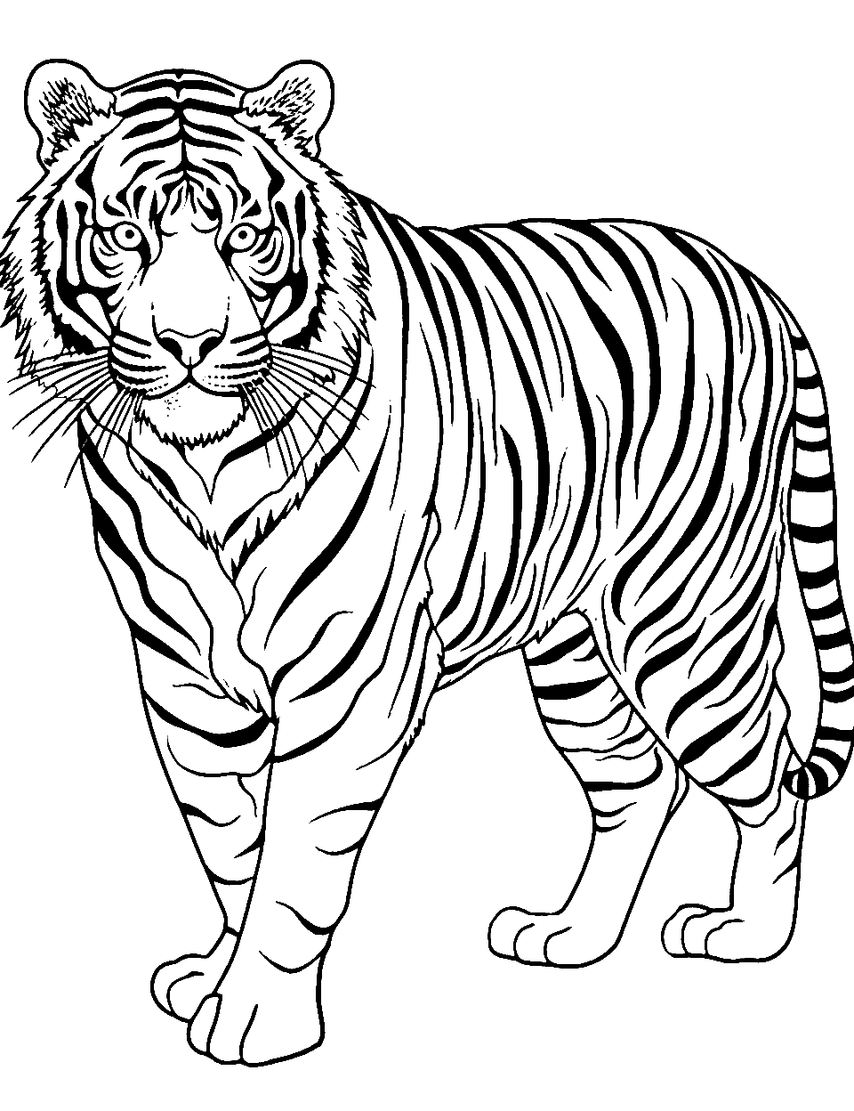 Tiger coloring pages free printable sheets