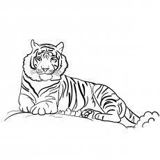 Top free printable tiger coloring pages online