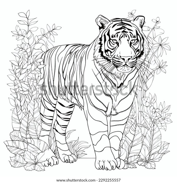 Tiger flowers coloring page adult stock illustration