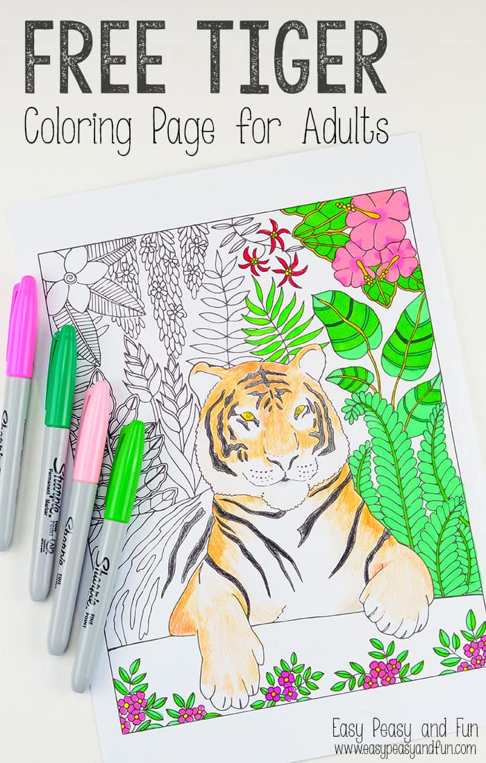 Tiger coloring page for grown ups