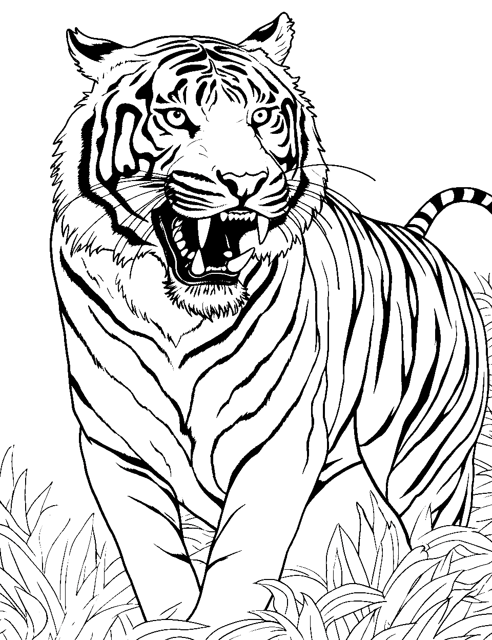 Tiger coloring pages free printable sheets