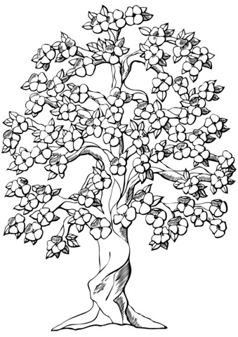 Flowering apple tree coloring page free printable coloring pages