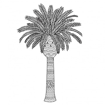 Premium vector palm tree zentangle style coloring page