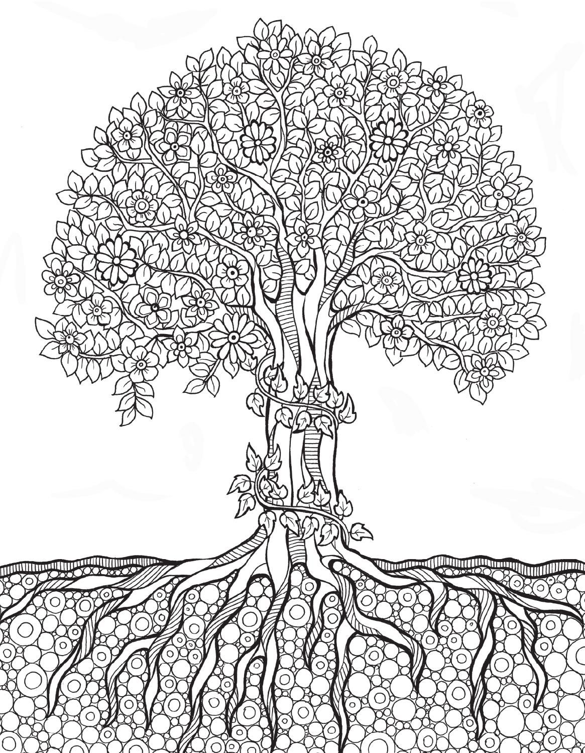 Trees coloring books