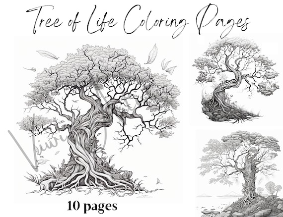 Tree of life coloring pages coloring pages for adult tree coloring pages