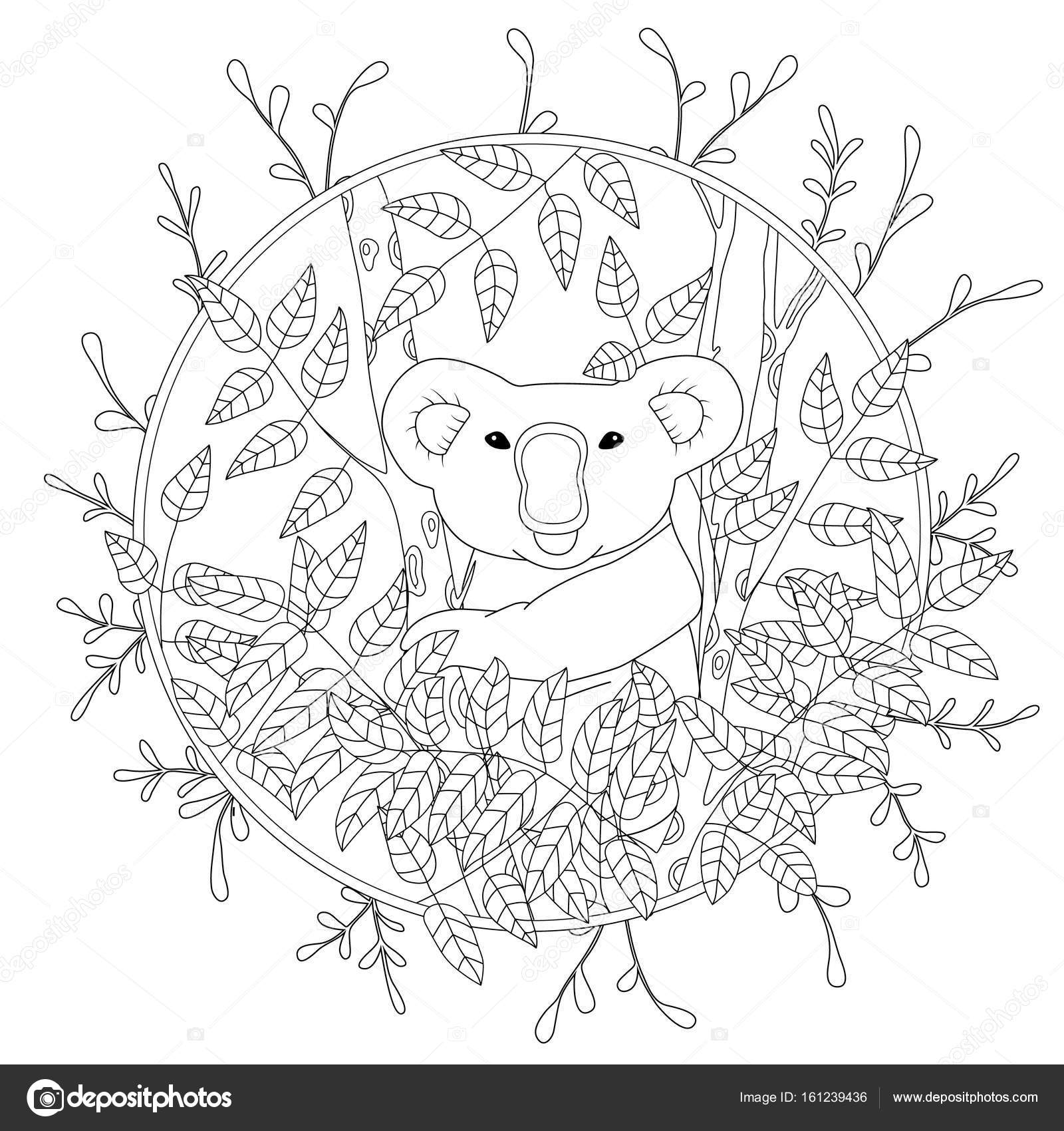 Cute vector coloring page with koala climbing on the eucalyptus tree illustration in color hand drawn in realistic style stock vector by alenkalink